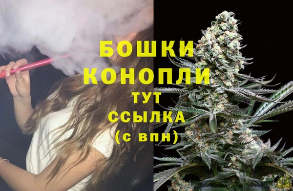 гидра Михайловка