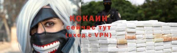 гидра Михайловка