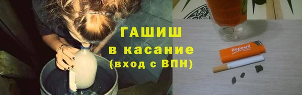 гидра Михайловка