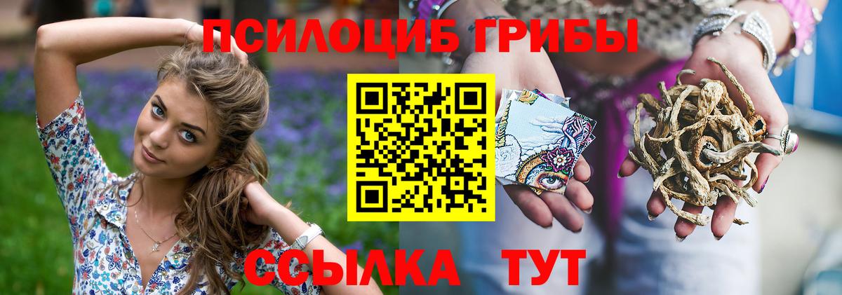 Улан-Удэ  Галлюциногенные грибы прущие грибы  Вход с VPN 