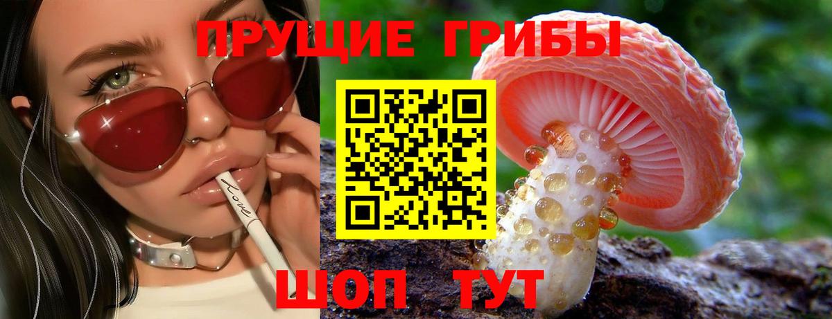Псилоцибиновые грибы мицелий Улан-Удэ