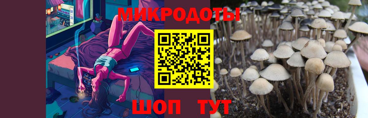 Галлюциногенные грибы Cubensis  Улан-Удэ  Галлюциногенные грибы Psilocybine cubensis 